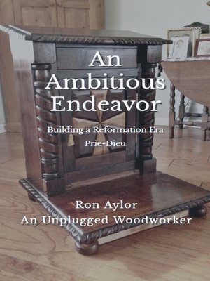 cover image of An Ambitious Endeavor